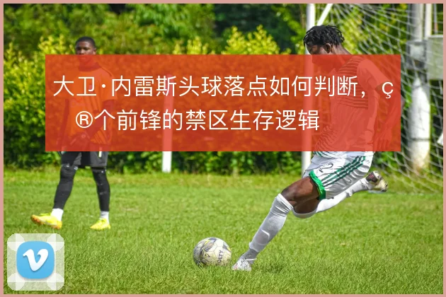 大卫·内雷斯头球落点如何判断，矮个前锋的禁区生存逻辑
