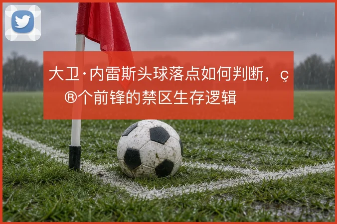 大卫·内雷斯头球落点如何判断，矮个前锋的禁区生存逻辑
